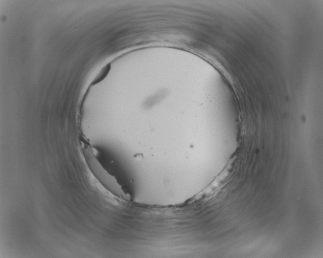 X0000067521532200605051842