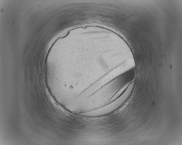 X0000067521534200605051842