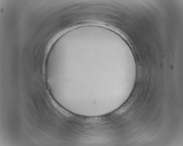 X0000067521535200605051842