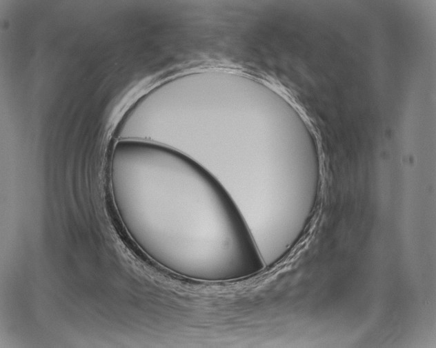 X0000067530007200604071101