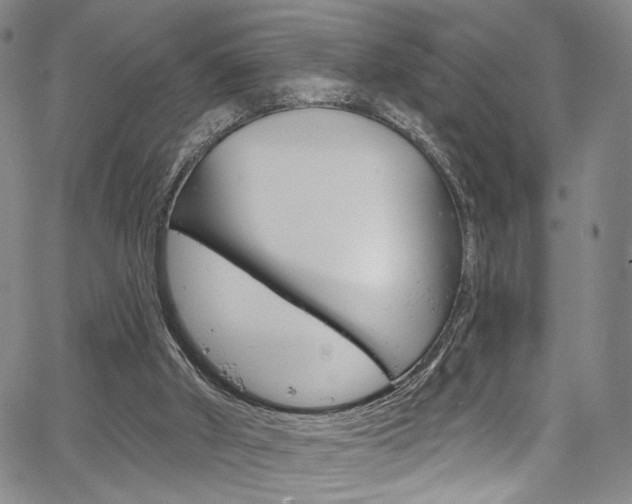 X0000067530010200604071101