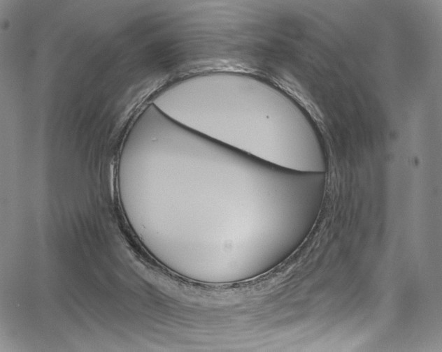 X0000067530014200604071101