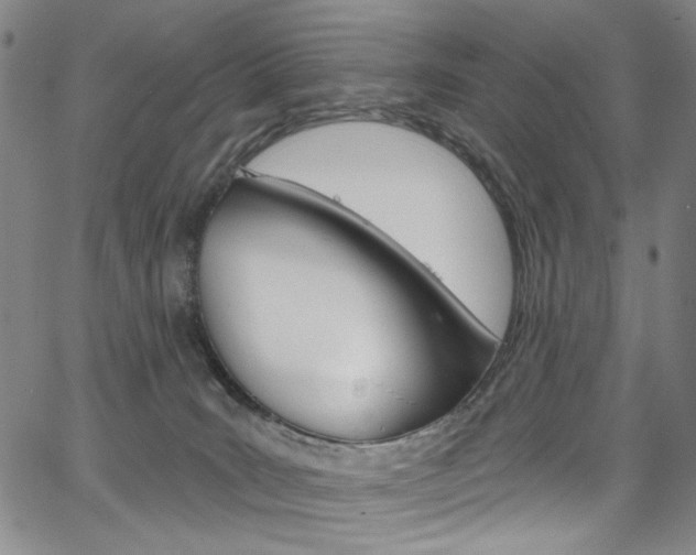X0000067530035200604071100