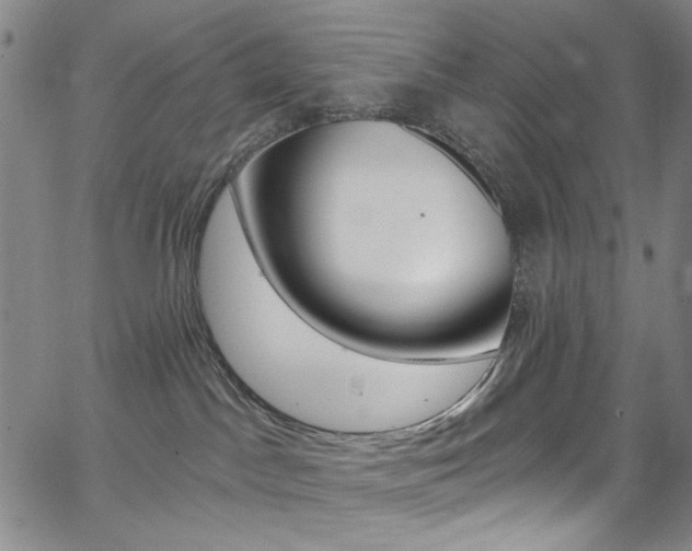 X0000067530045200604071100