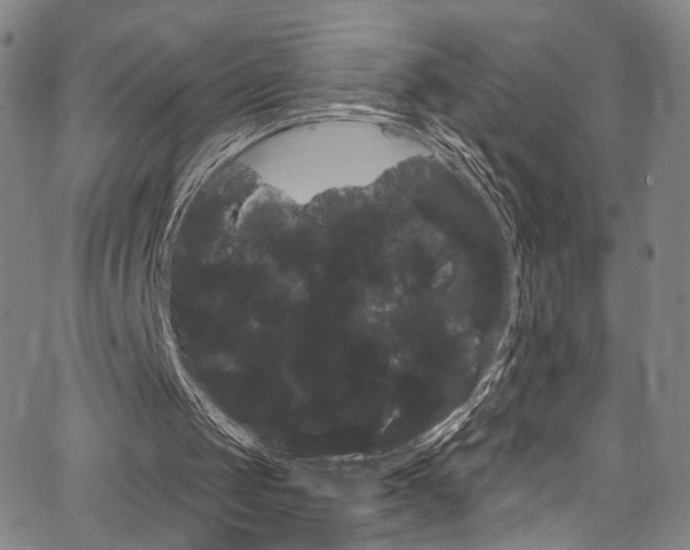 X0000067530049200604071059