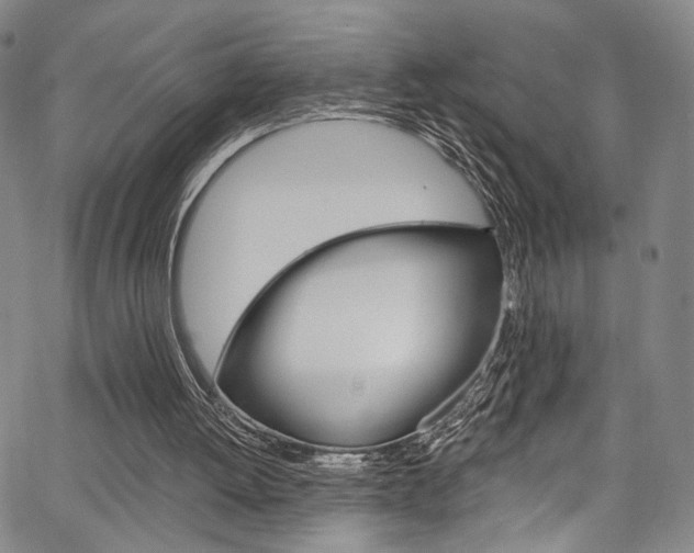 X0000067530052200604071059