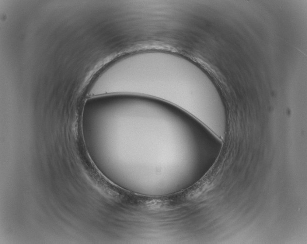 X0000067530064200604071100