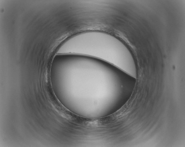 X0000067530068200604071100