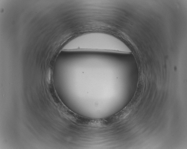 X0000067530076200604071100