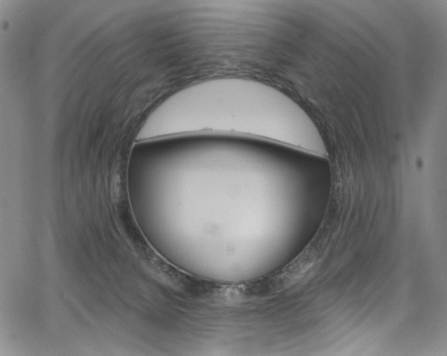X0000067530080200604071100