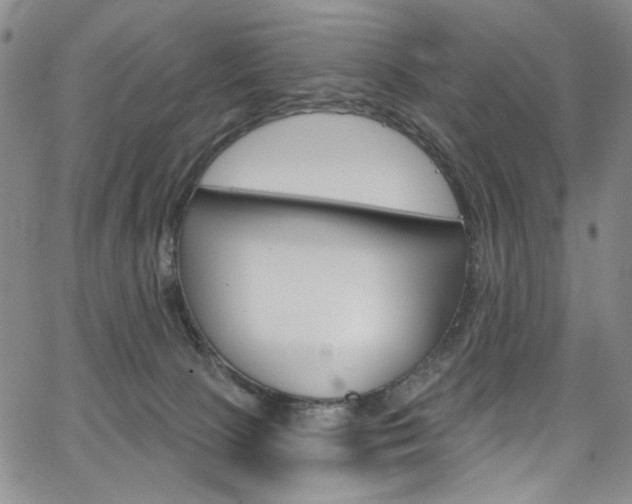 X0000067530081200604071100