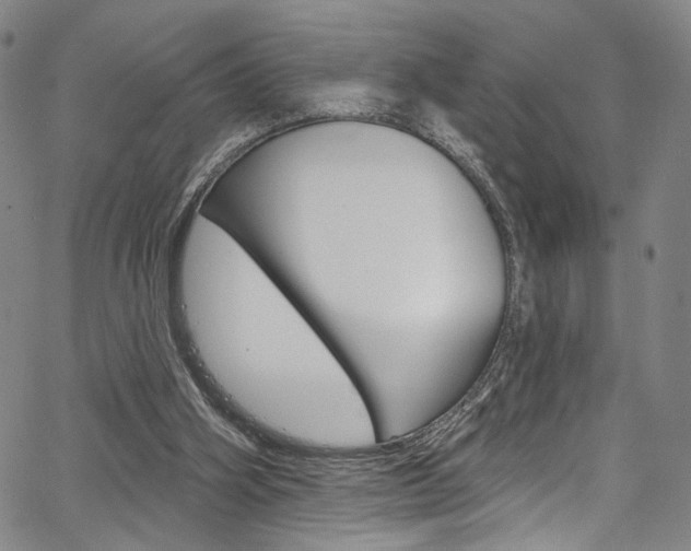 X0000067530106200604071059