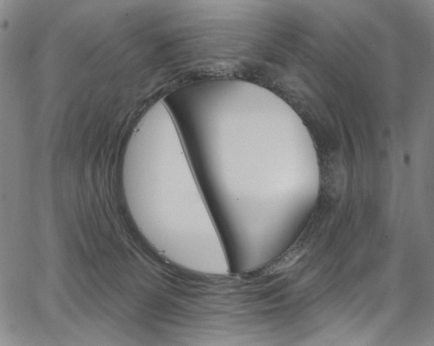 X0000067530131200604071059
