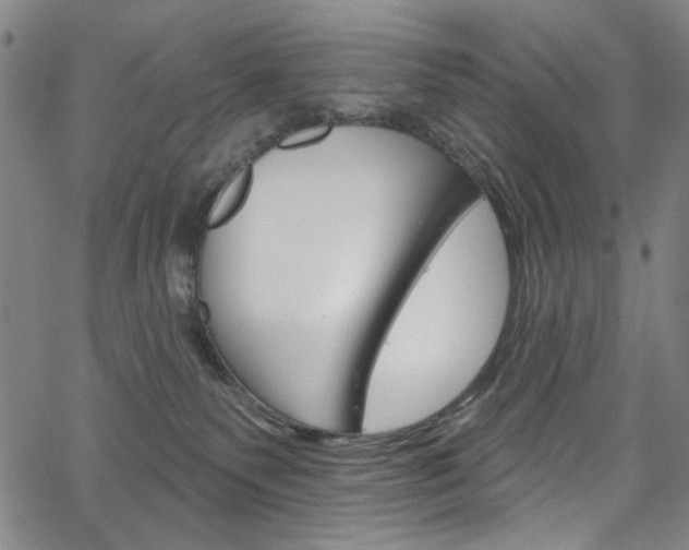 X0000067530135200604071059