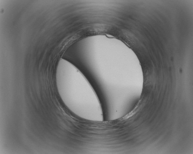 X0000067530140200604071059