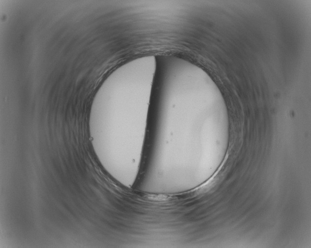 X0000067530144200604071058
