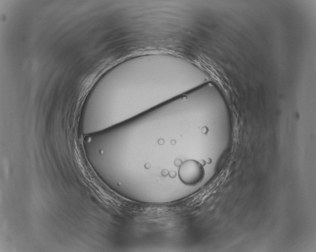 X0000067530145200604071058