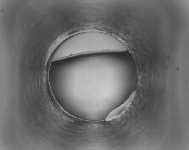 X0000067530152200604071058