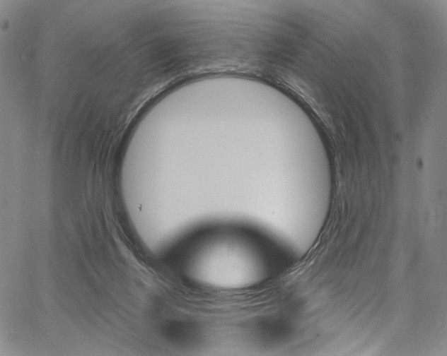 X0000067530164200604071058
