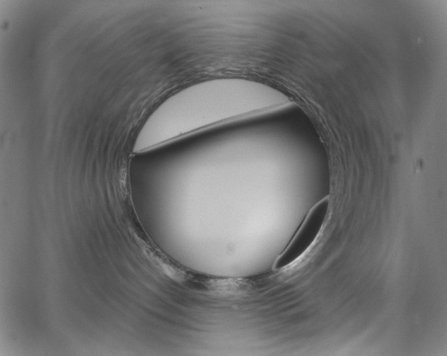 X0000067530192200604071058