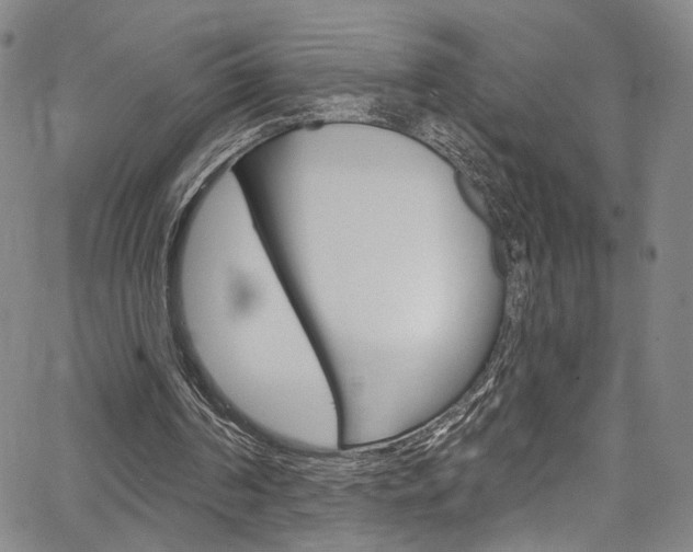 X0000067530194200604071058