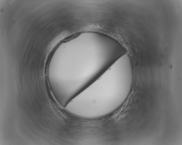 X0000067530196200604071058