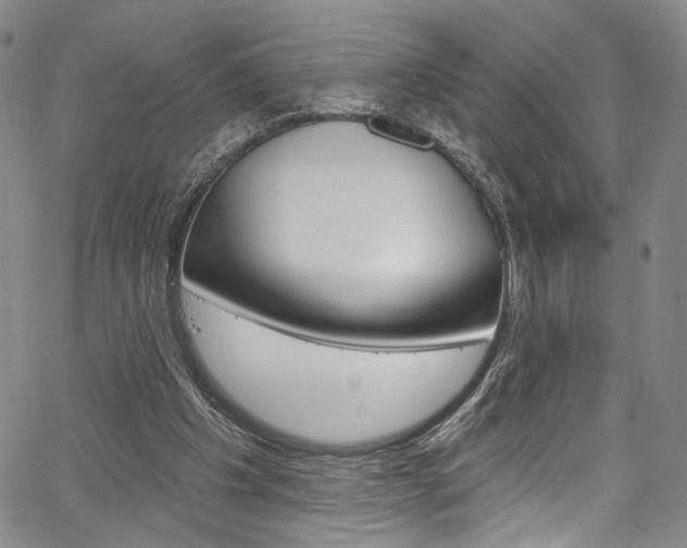 X0000067530201200604071058