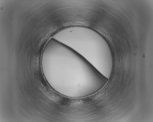 X0000067530206200604071057