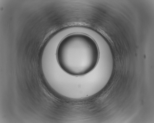 X0000067530207200604071057