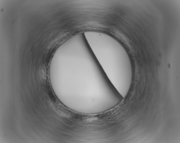 X0000067530210200604071057
