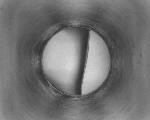 X0000067530216200604071057