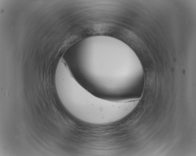 X0000067530220200604071057