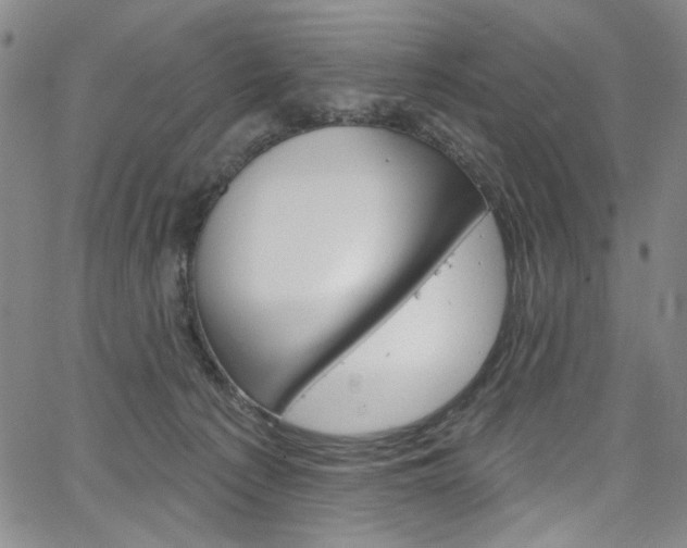 X0000067530225200604071057