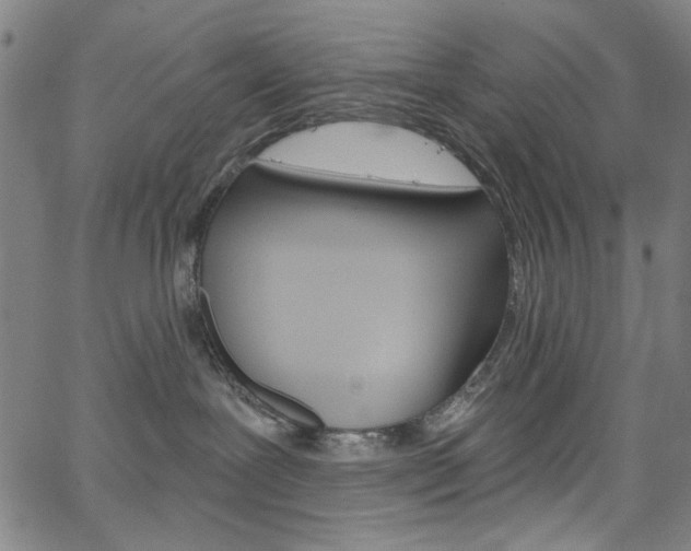 X0000067530239200604071057