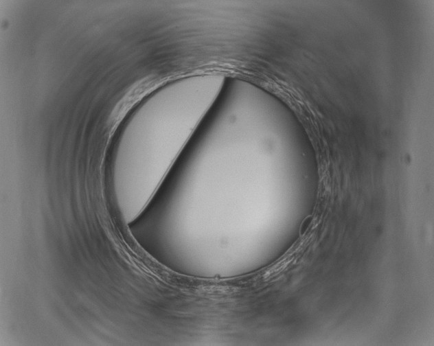 X0000067530242200604071056