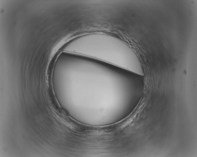 X0000067530246200604071056