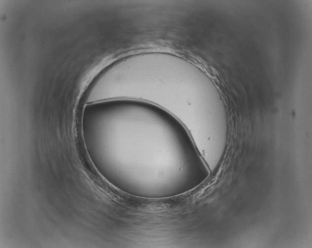 X0000067530248200604071056