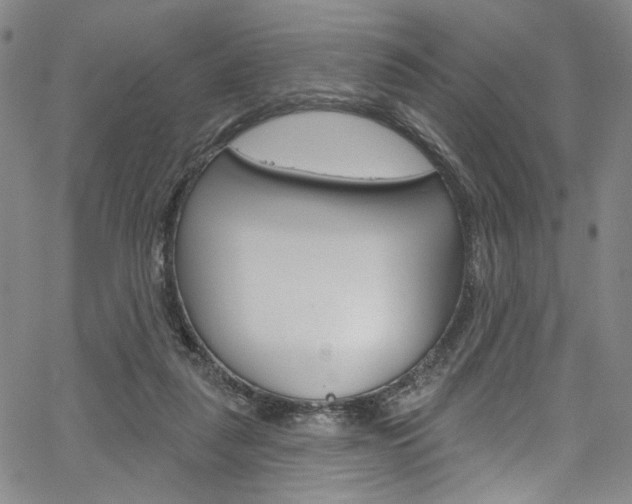X0000067530259200604071056