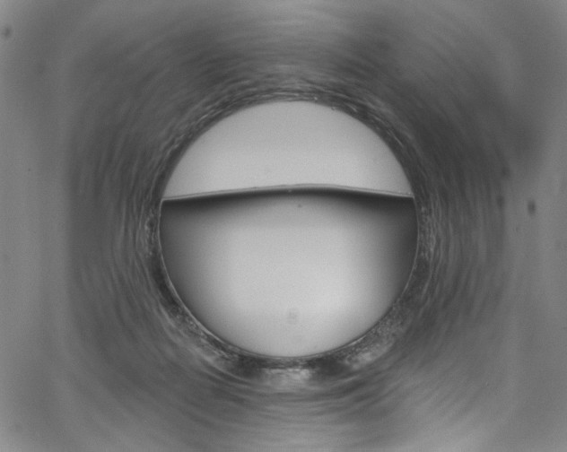 X0000067530266200604071057