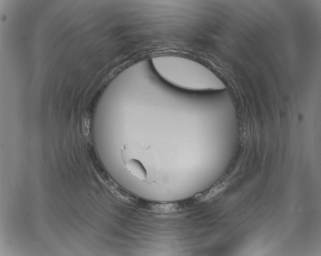 X0000067530281200604071057