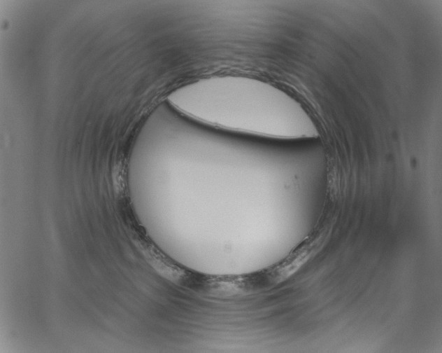 X0000067530285200604071057