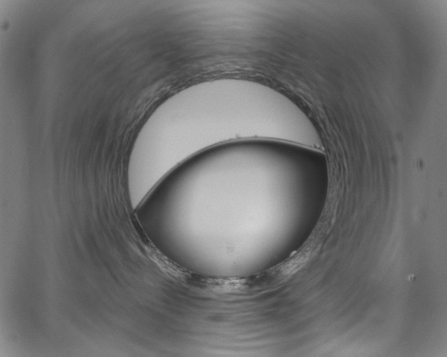 X0000067530288200604071057
