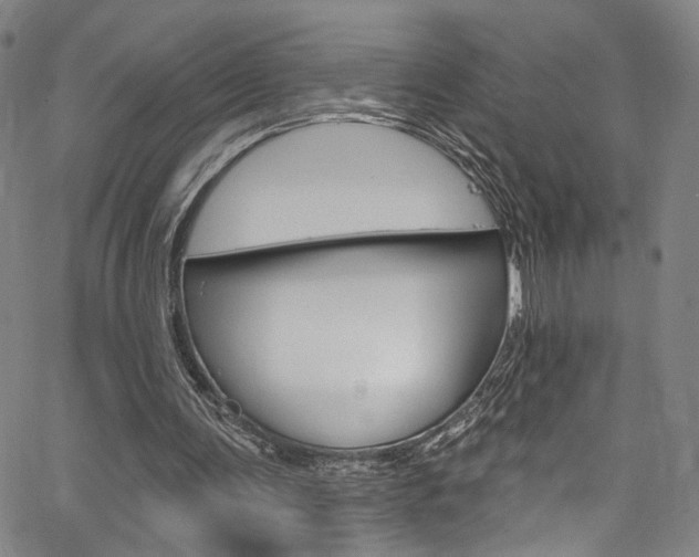X0000067530291200604071056