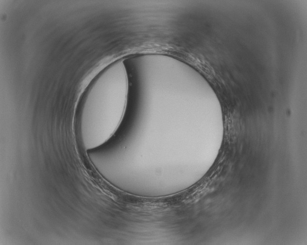 X0000067530292200604071056
