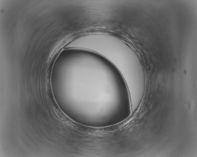 X0000067530293200604071056