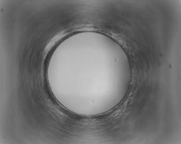 X0000067530296200604071056