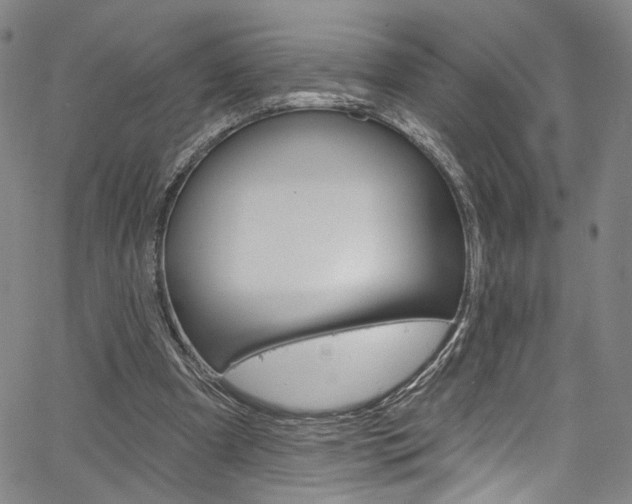 X0000067530297200604071056