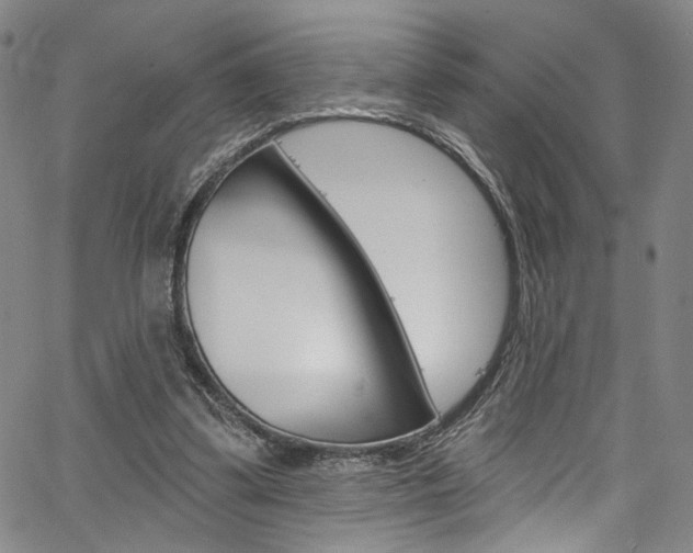 X0000067530299200604071056
