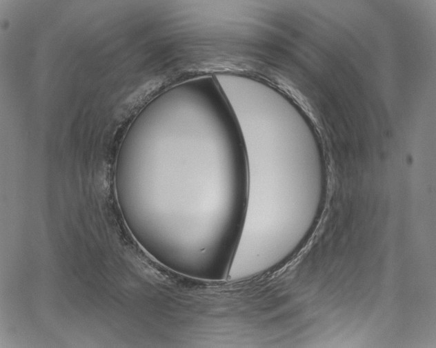 X0000067530305200604071056