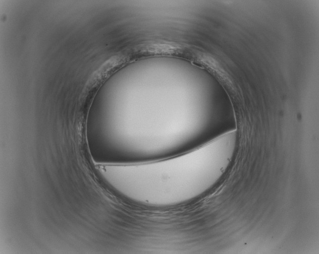X0000067530309200604071056